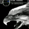 Kartal ikon