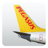Pegasus ikon